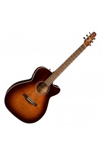 Seagull Guitars Performer CW Concert Hall Burnt Umber QIT Acoustic/Electric Guitar with Gig Bag